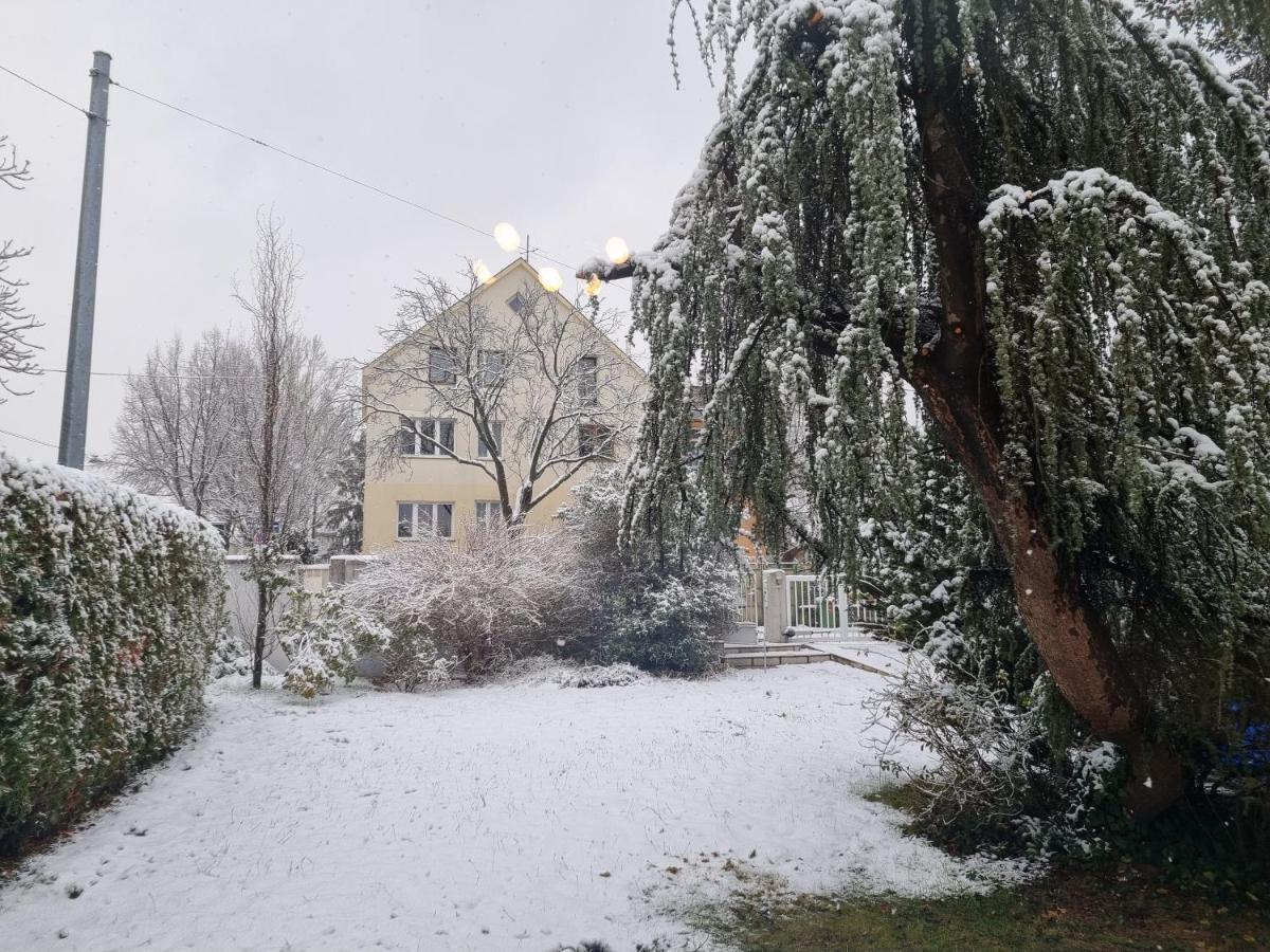 וינה Villa With Private Sauna And Jacuzzi, 8 Min From Schloss Schoebrunn מראה חיצוני תמונה